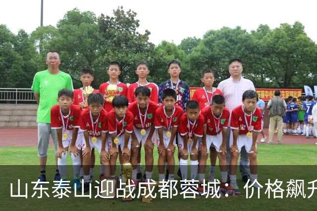 山东泰山迎战成都蓉城：价格飙升的门票背后暗藏看点